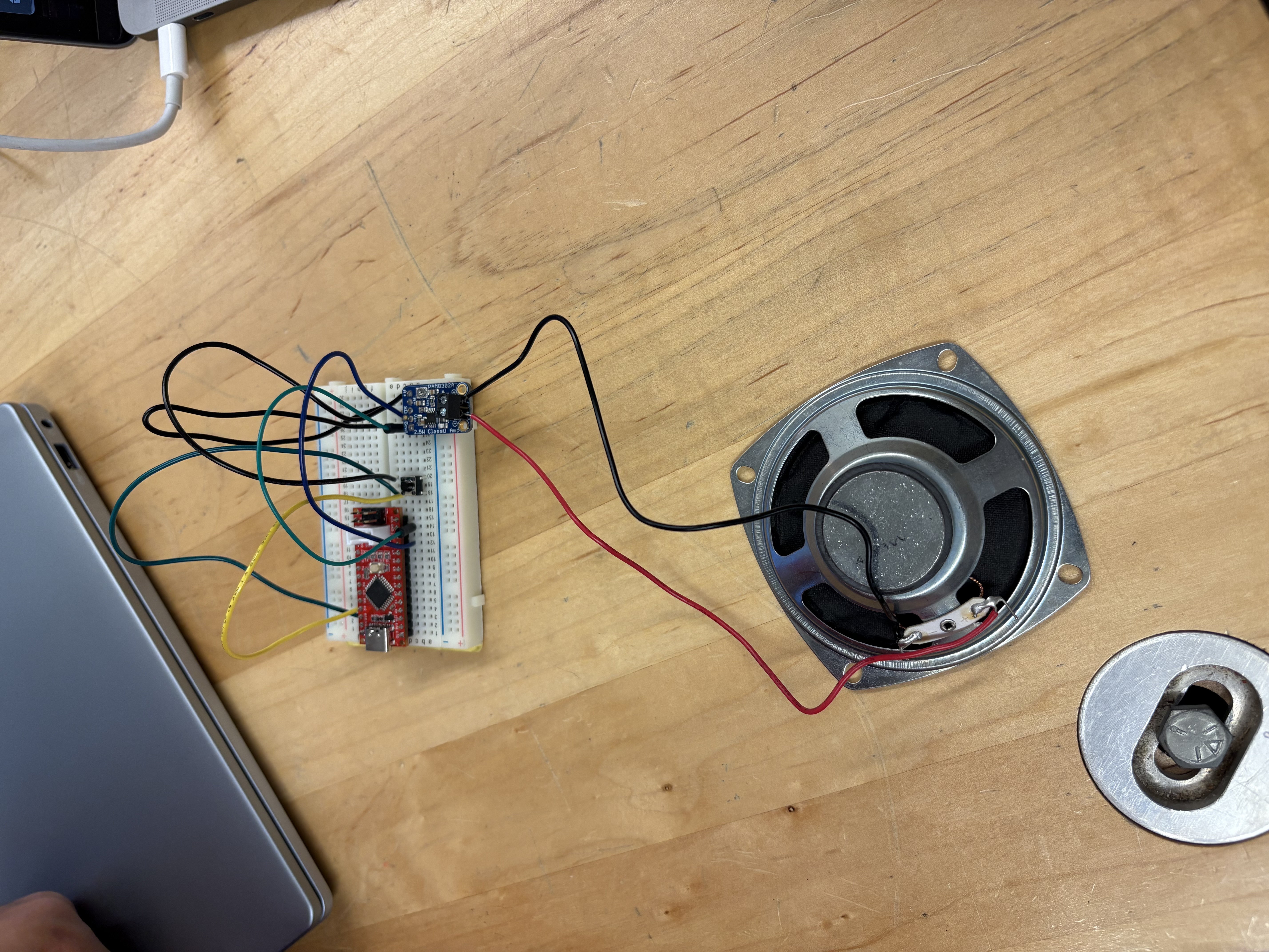 Custom speaker build with audio circuitry
